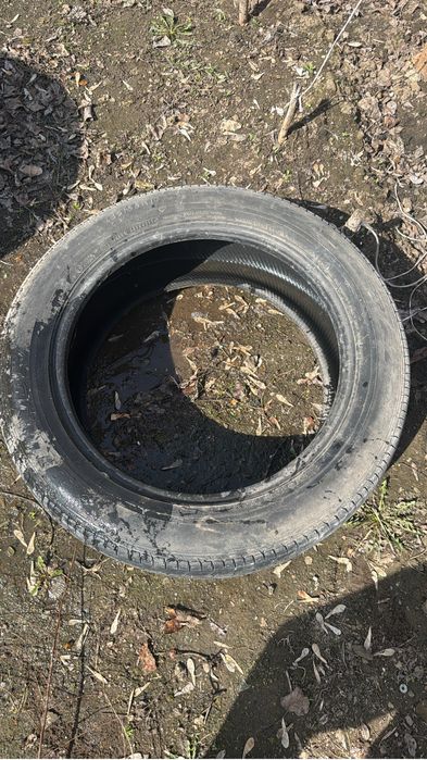 Продам резину r19