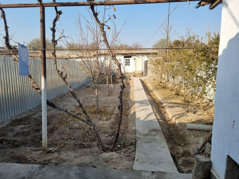 Нарпай 1 булим адолат кучаси