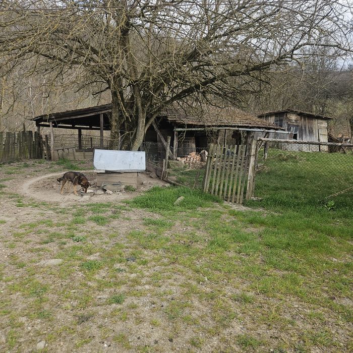 Vând casă  Sat Caraci  com Baia de cris