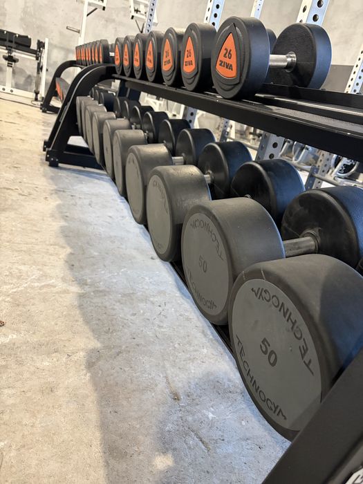 Set Gantere Ziva Technogym