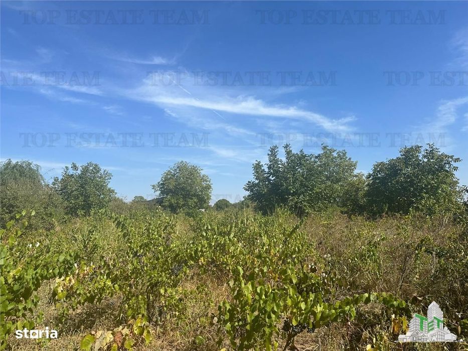 Vanzare teren intravilan construibil in Branesti, Ilfov – 2040 mp, ide