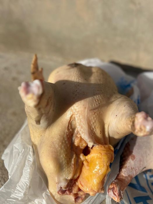 мясо индеек . индюк еті