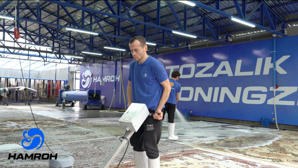 carpet cleaning professional dry cleaning