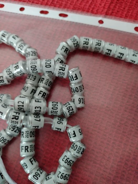 Inele porumbei străine 2025 8mm