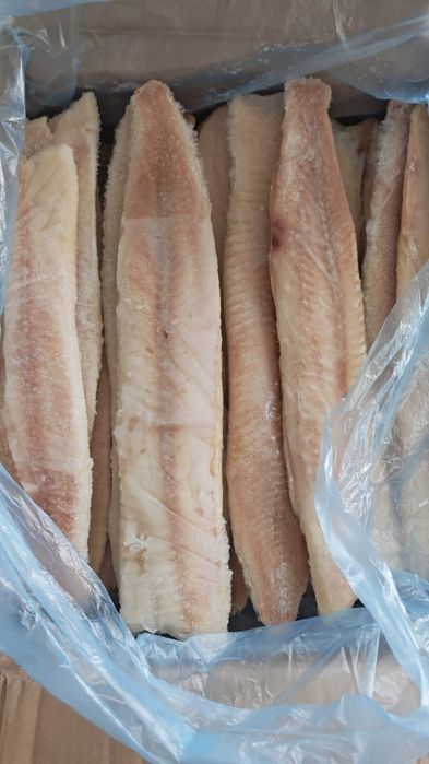 Филе щуки и сома коробками