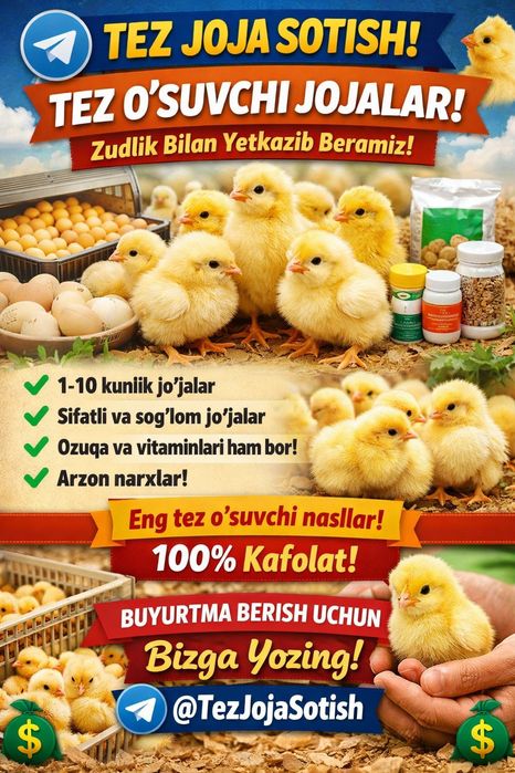 Eng tez o'suvchi jòjalar loman sendi paroda