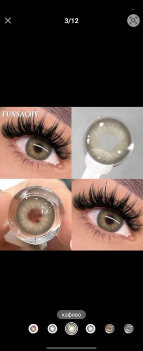 Целогодишни цветни Лещи