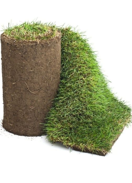 Amenajare gradina gazon rulou si plante ornamentale