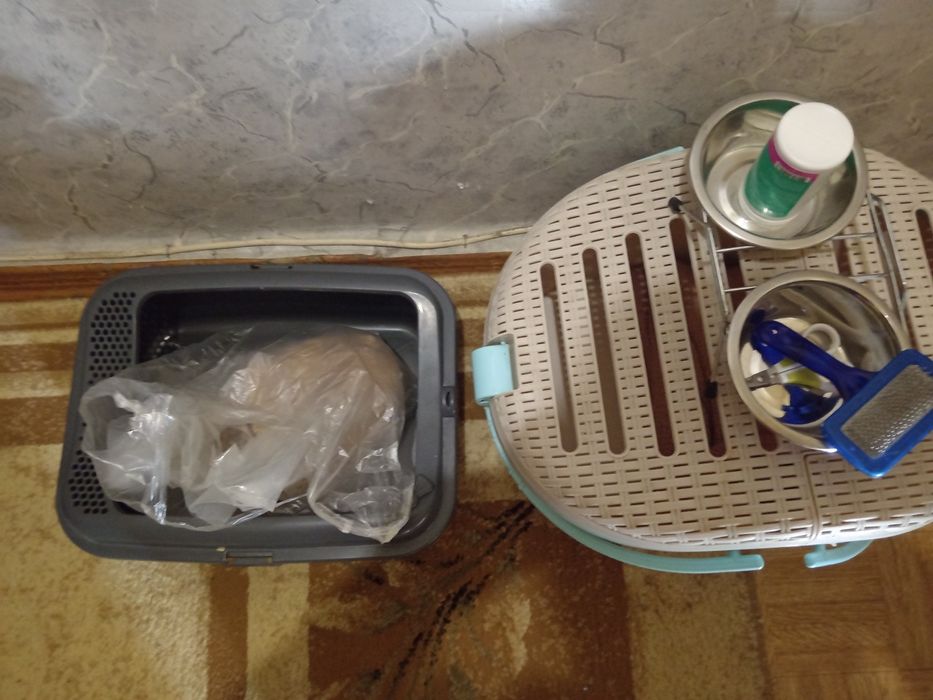 Продам кошачий набор