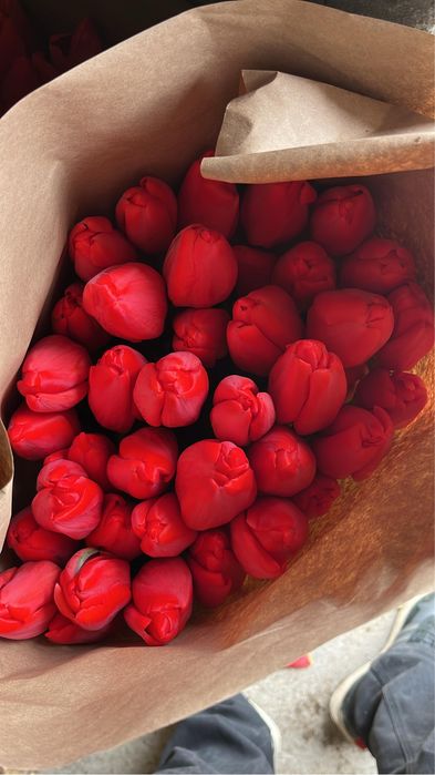 Тюльпаны 60см большое