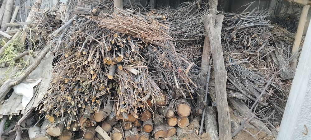 Отн сотиляди бэр мошина