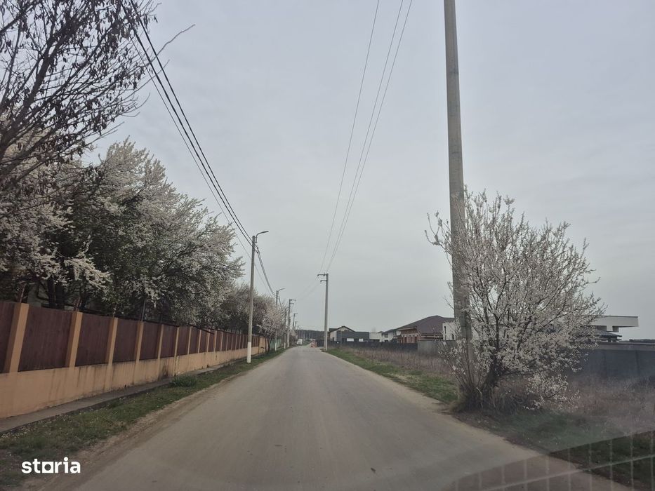 Teren Balotesti,padure Sri,400mp