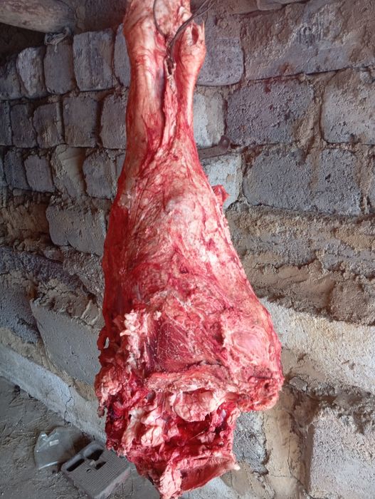 Говядина молодняк