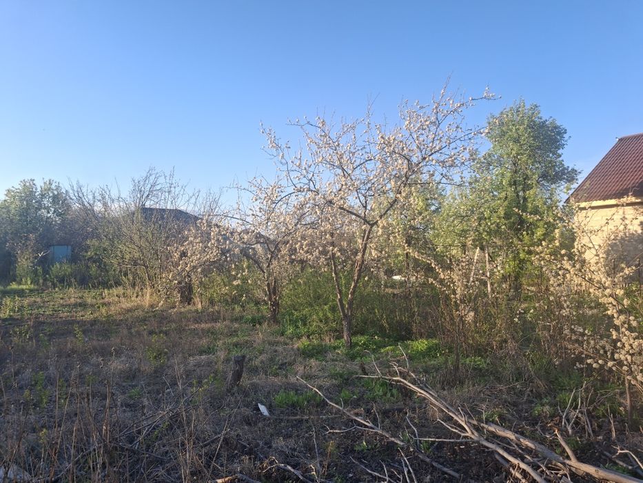 Дача на буровике