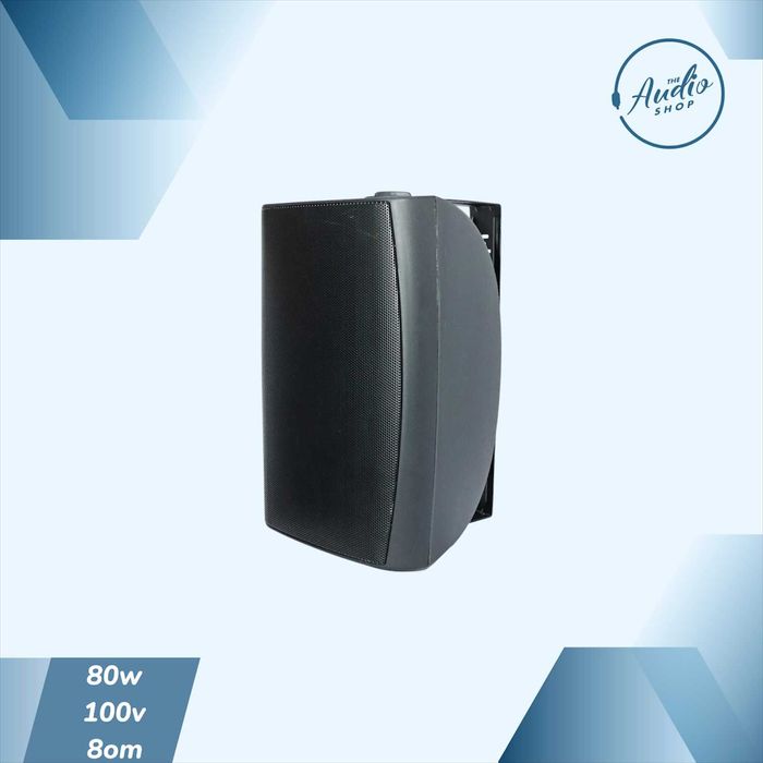 Пассивная настенная колонкa для фоновой музыки 80wat