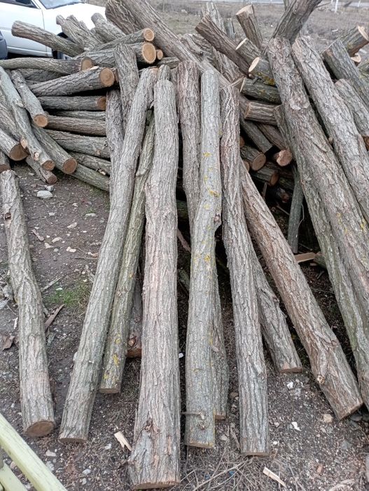 Stâlpi de gard cu h 2,20 și diametrul  10-14