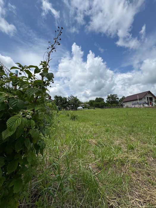 Teren 1797 mp în Dobrovăț (Ruși) – la pădure, cu investiții deja făcute