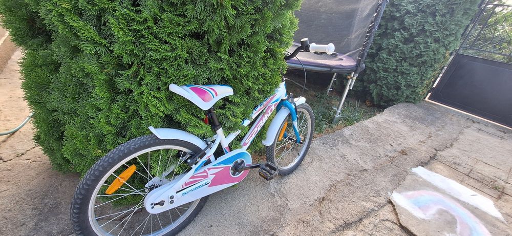 Sprint kiddy Calipso 20"