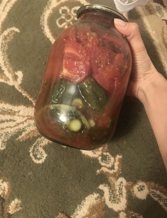 Салонина домашняя