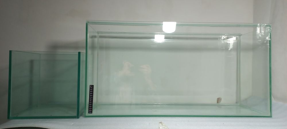 Harxil turdagi baliq akvarium bor juda arzon narxlarda