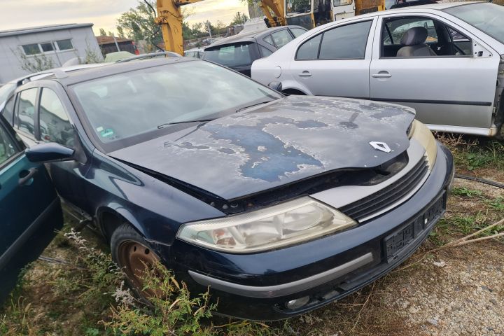 Broasca usa spate stanga Renault Laguna a 2-a generatie