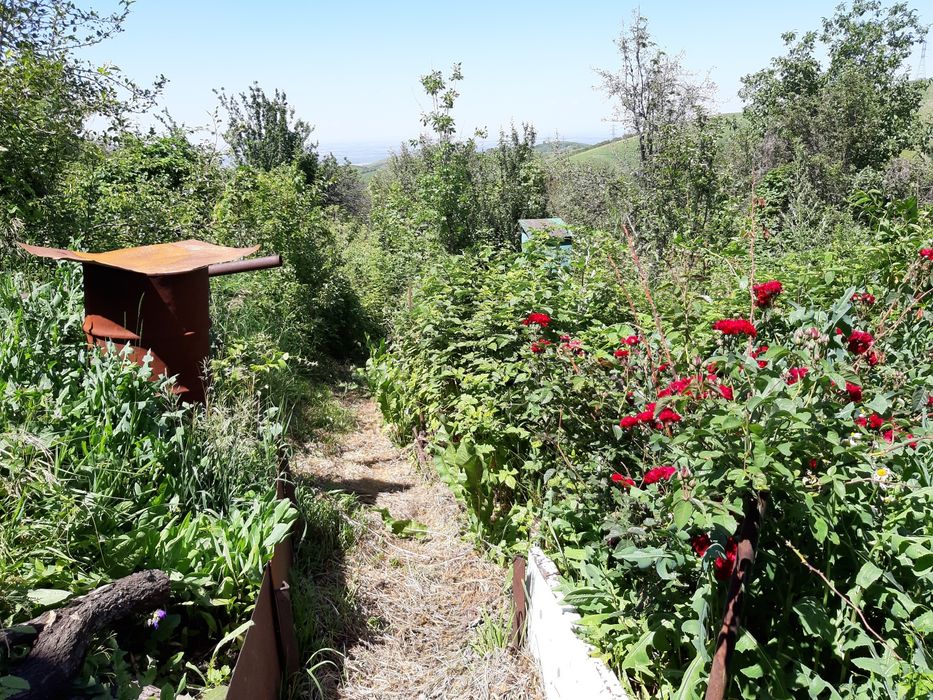 Продам Срочно Дачу в Кенсаи