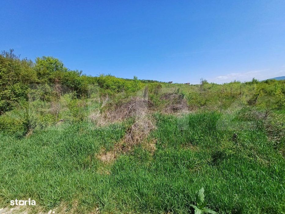 Teren intravilan de vanzare, 6200 mp, zona Viisoara, langa Metaller