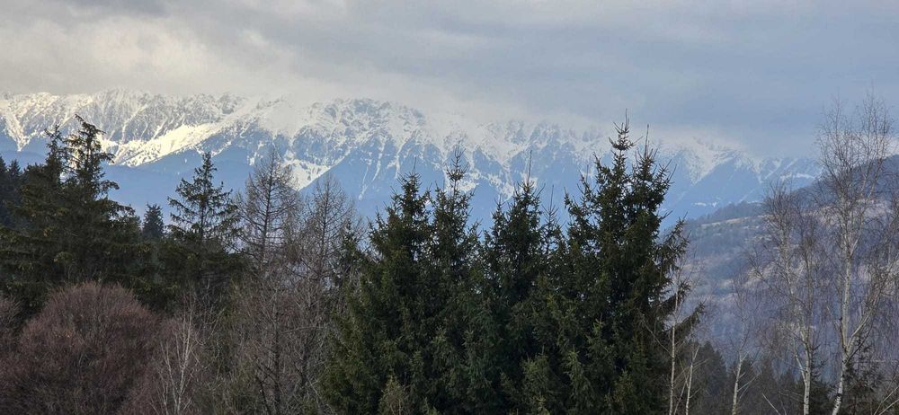 Teren intravilan construibil – Bran Zona Poarta | Vedere munți | Utilități | Acces DN73