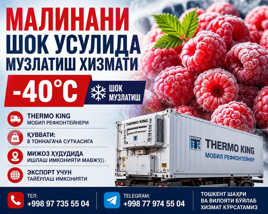 Малинани шок усулида музлатиш хизмати -40°C | Thermo King | 8 т/сутка - Boshqa xizmatlar Toshkent на Olx