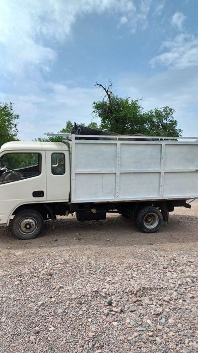 Продам или обменяю на скот