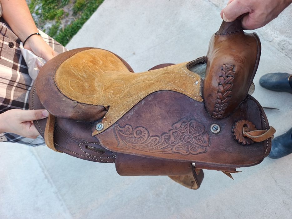 Calarie Sa din piele . Shea calarie