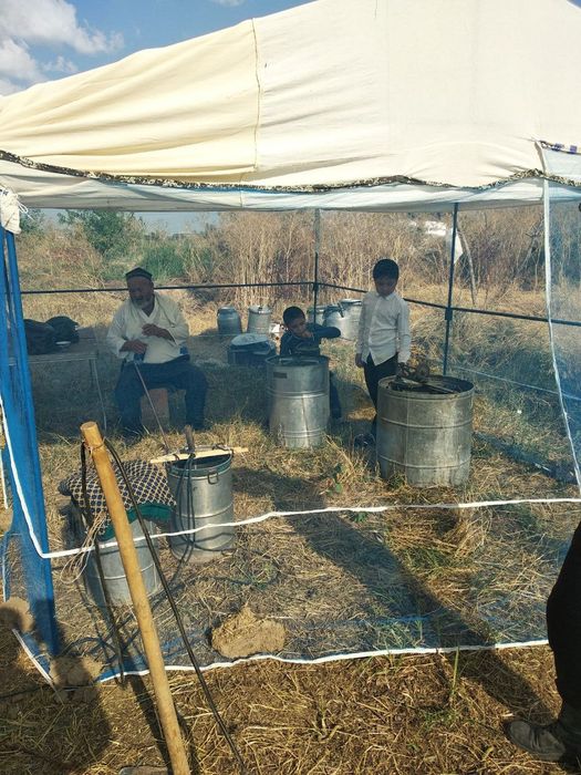 Паркент туманида.Ишчан аса ари оилалари бор