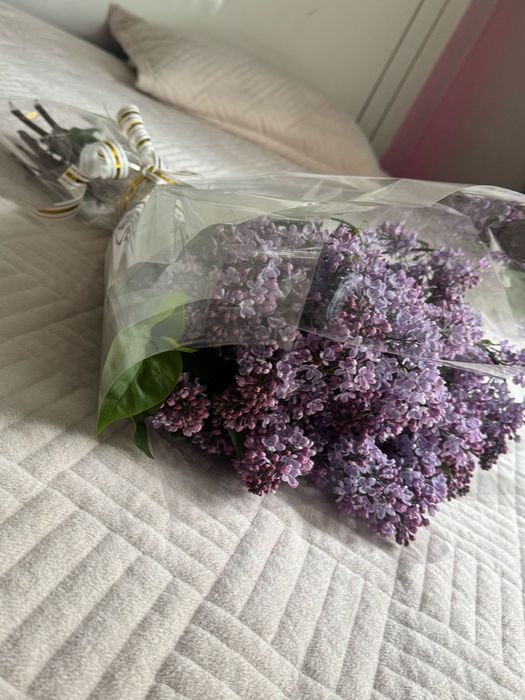 Свежи Серени ,есть доставка