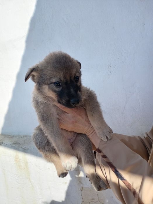 Бесплатно щинки девочки и мальчики