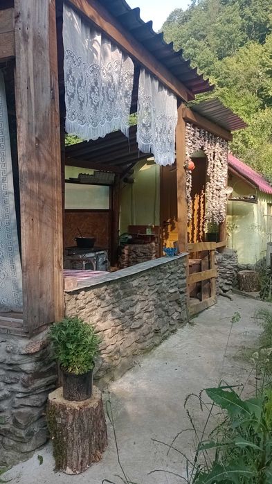 Casa din lemn de locuit
