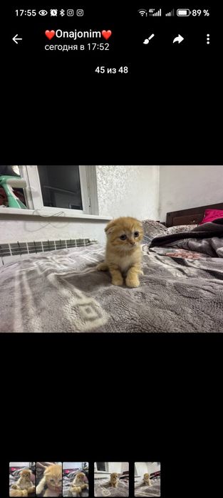 2 oylik Ismini ozila qoyasila