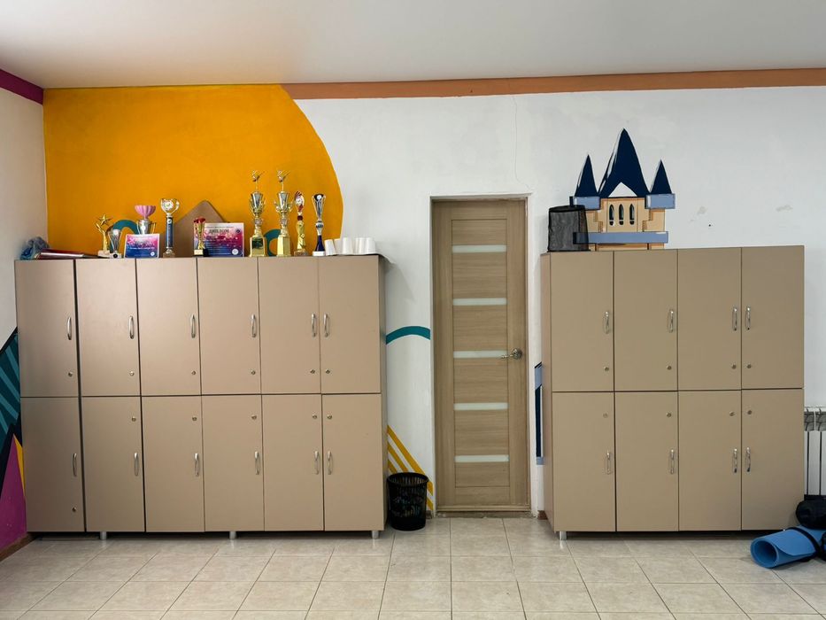 Зеркала и шкафчики для танцев зала