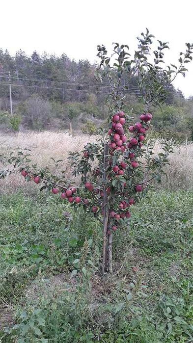 Сграда 90кв.м с Акт.16, с ток и вода в зем. парцел 4,5дка до регулация