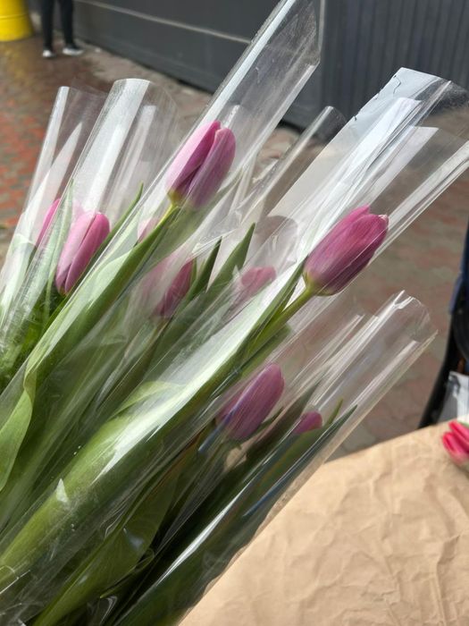 Тюльпаны 8 марта 750 тг