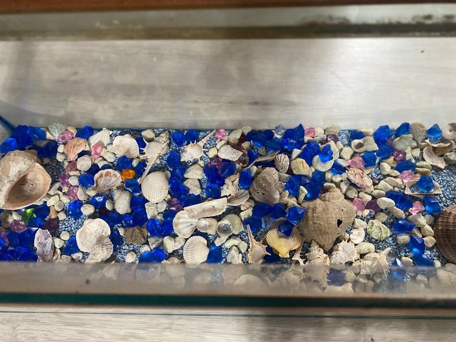 Acvariu pentru pești