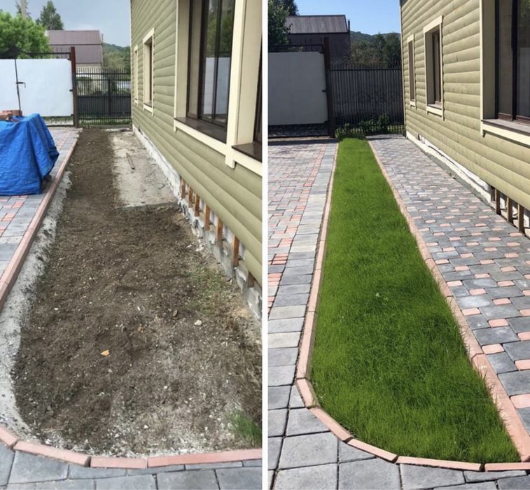 Газон посевной под ключ