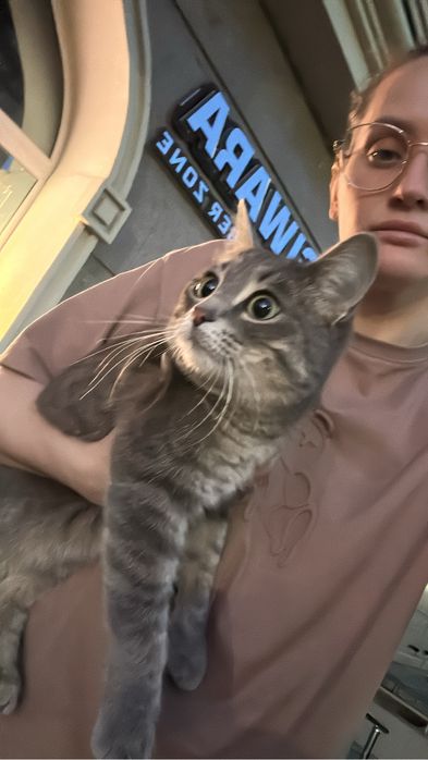 Кошечка в добрые ручки