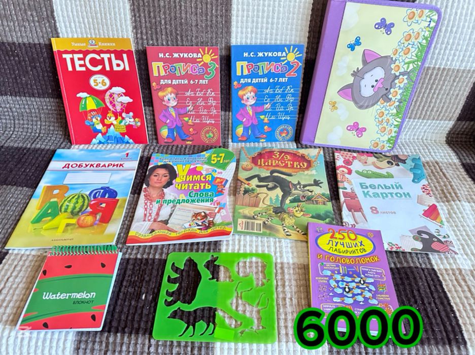 Книги,тесты и прописи.