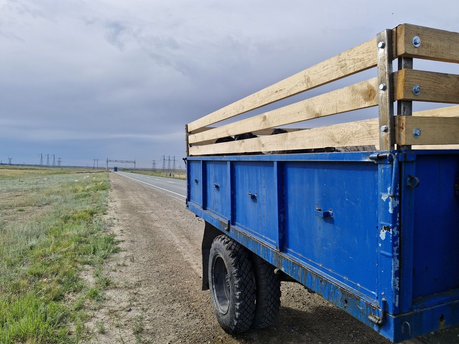 Газ 53  самосвал