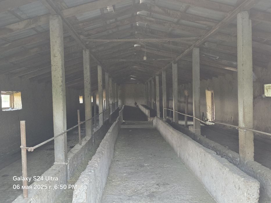 Yangi Toshkent 1,3 Ga  Ферма сотилади срочно. !!