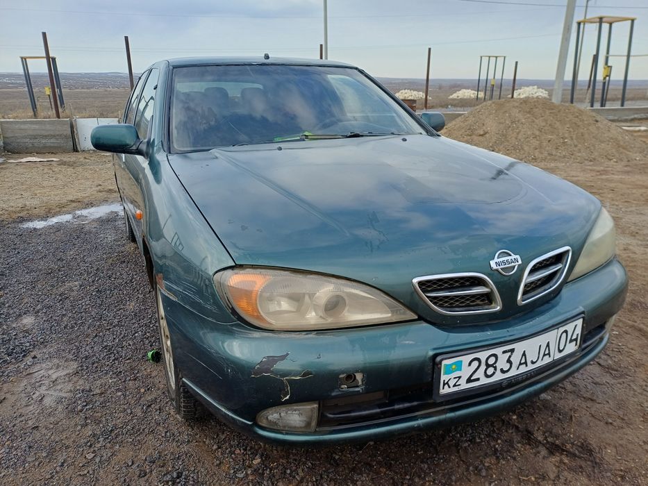 Ниссан p11 сатылады