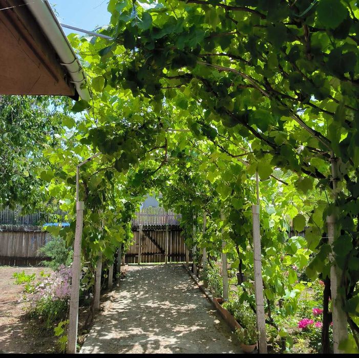 Casa Cataloi  Tulcea