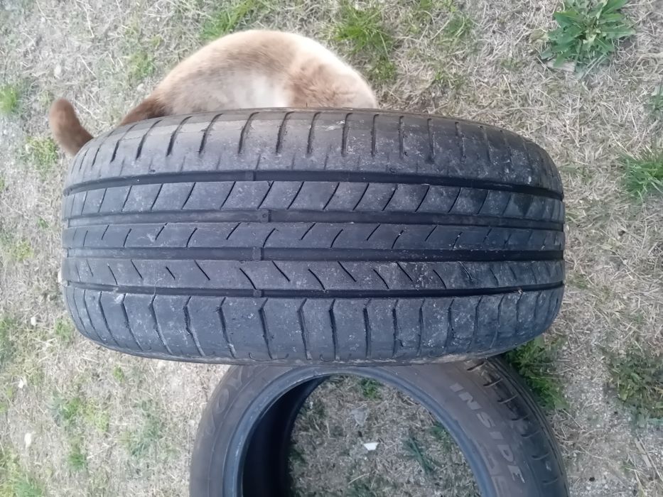 Anvelope vara 205/55/16