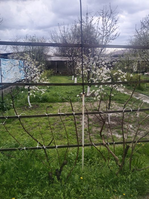 Продается участок с домом