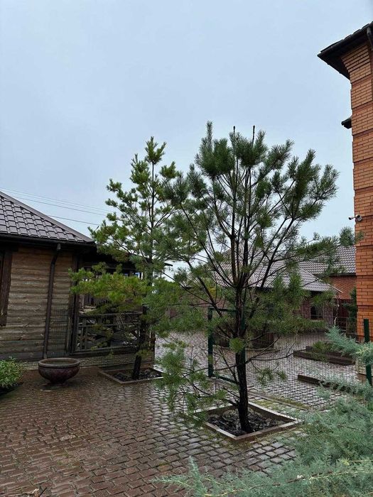 Продам коттедж со всеми коммуникациями